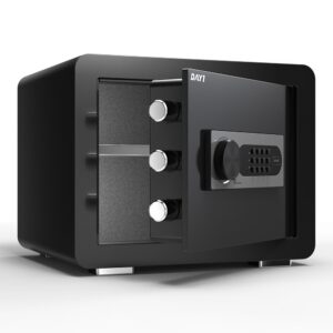 Electronic Safe